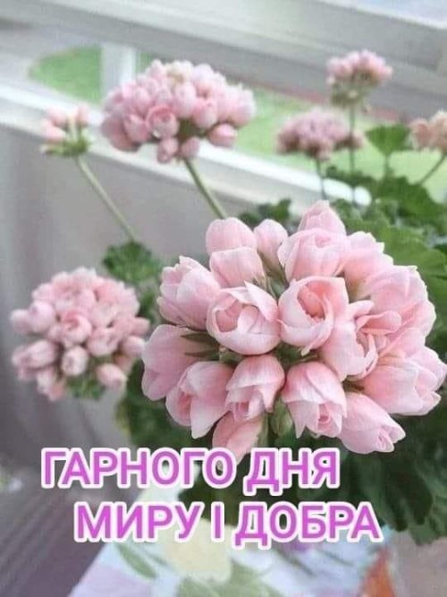 Гарного дня