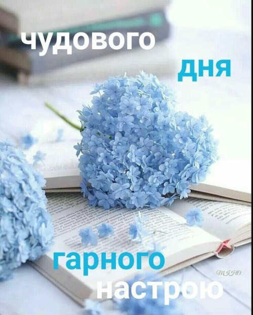 Гарного дня