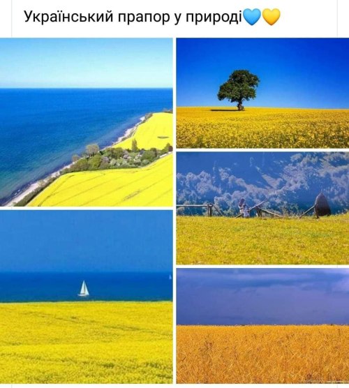 Прапор України