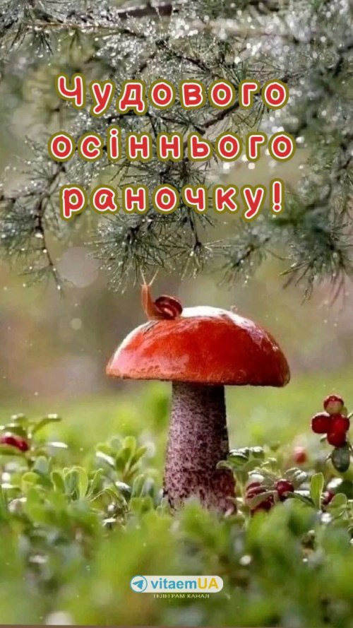 Доброго ранку