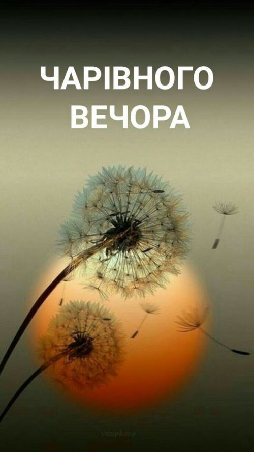 Гарного вечора