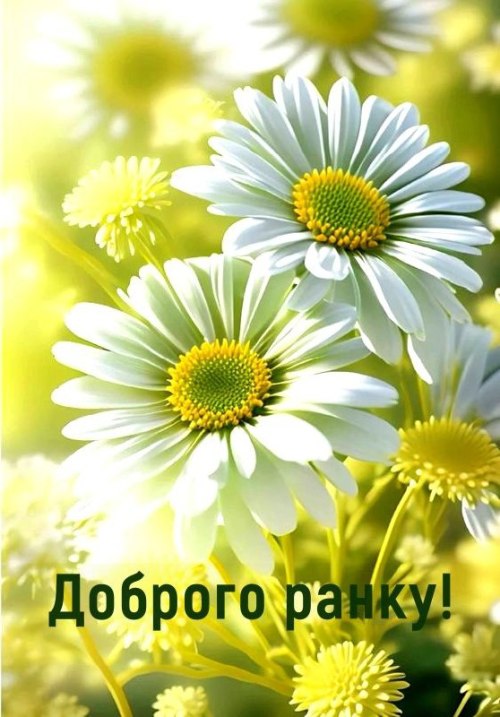 Доброго ранку