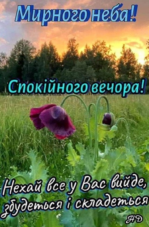 Гарного вечора