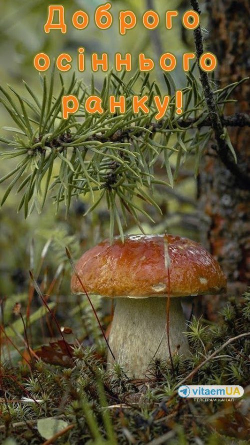Доброго ранку
