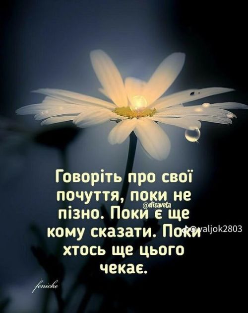 Мудрі слова
