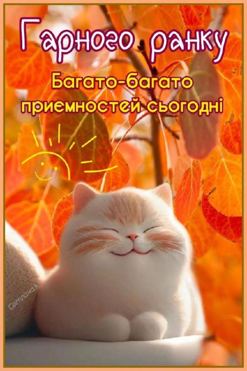 Доброго ранку