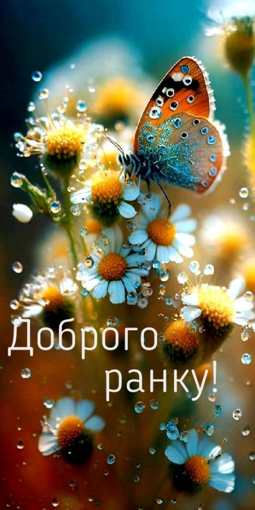 Доброго ранку