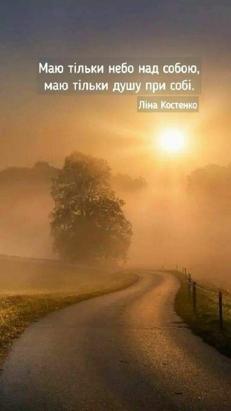 Мудрі слова