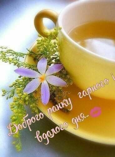 Доброго ранку