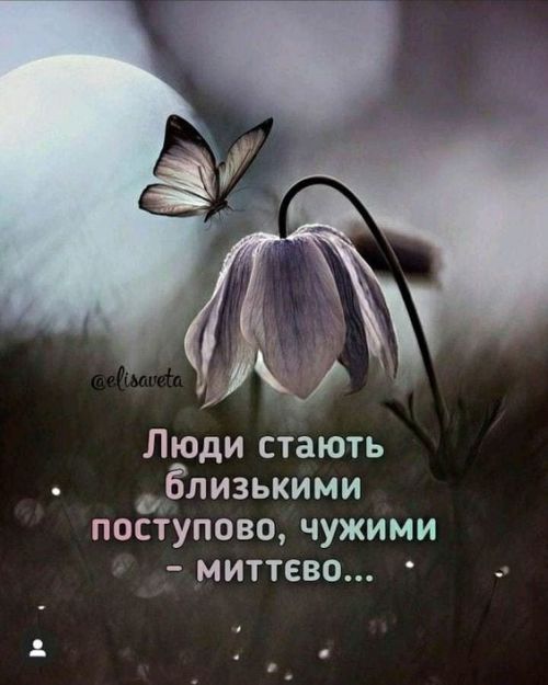 Мудрі слова