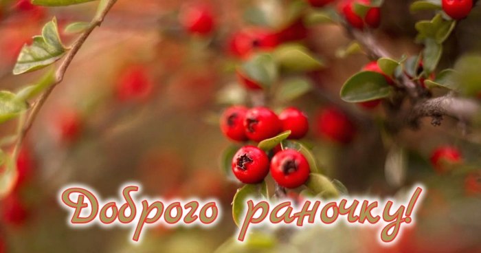 Доброго ранку
