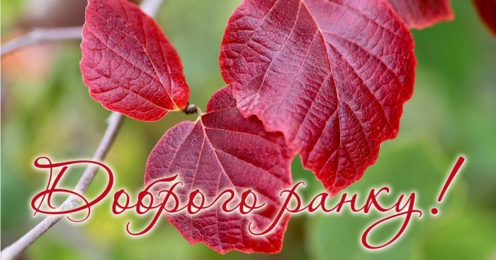 Доброго ранку