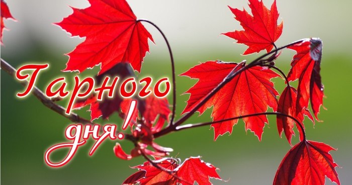 Гарного дня