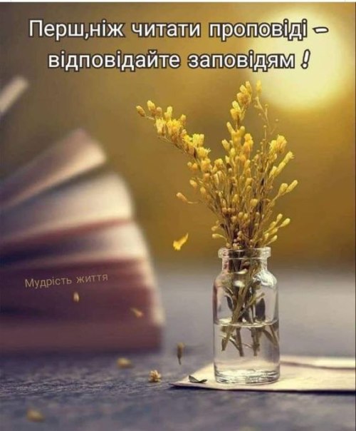 Мудрі слова