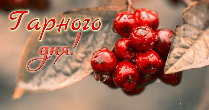 Гарного дня