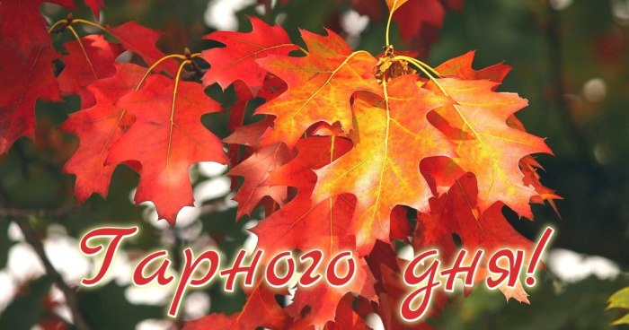 Гарного дня