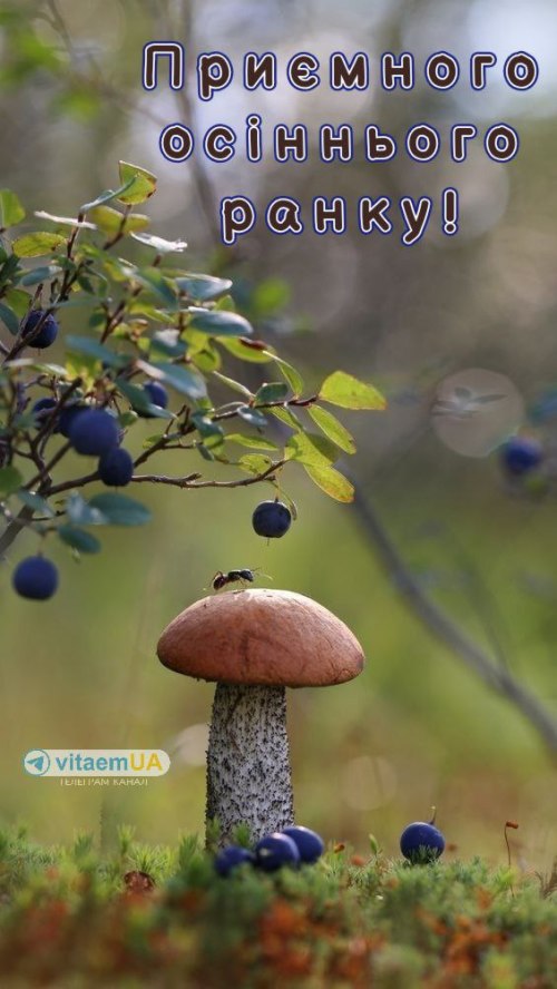 Доброго ранку