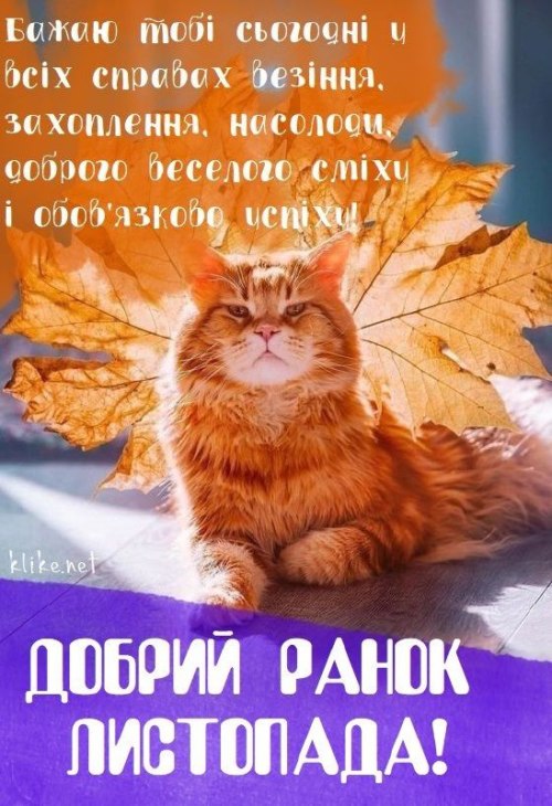 Доброго ранку