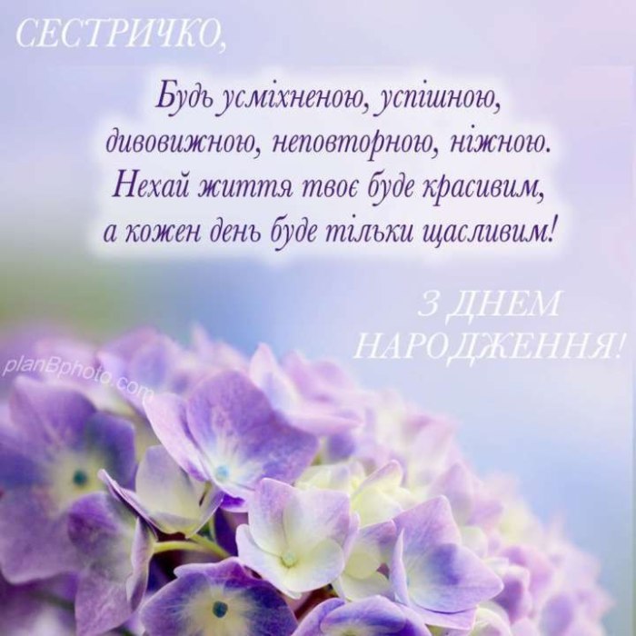 З днем народження, сестрі 2375