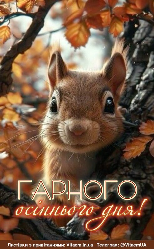 Гарного дня