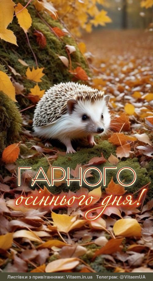 Гарного дня