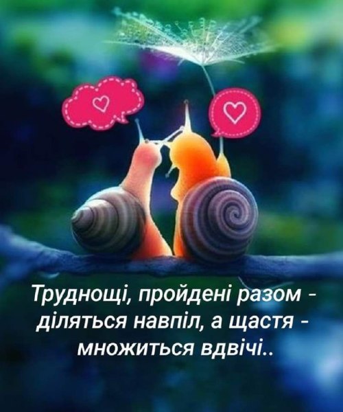 Мудрі слова