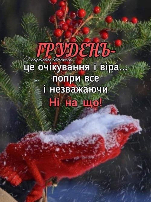 Мудрі слова, грудень