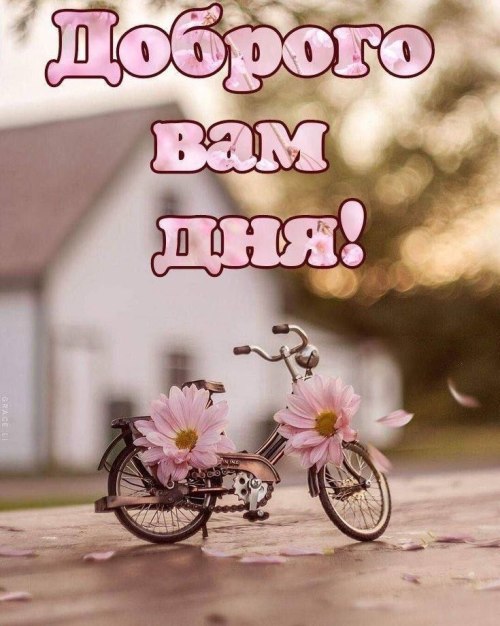 Гарного дня