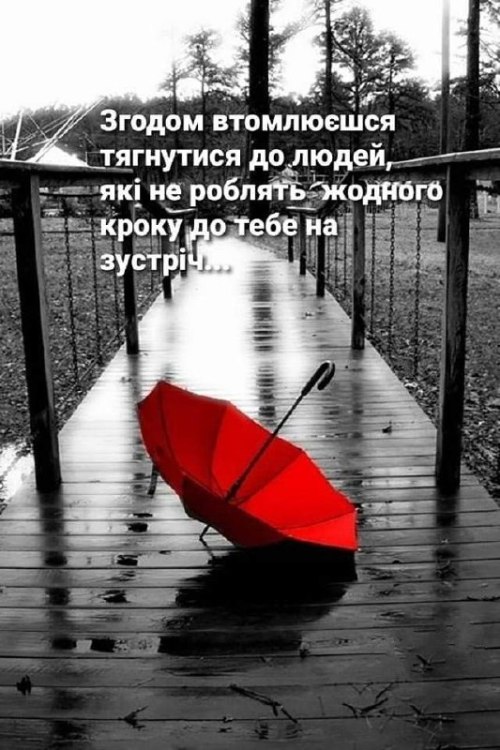 Мудрі слова