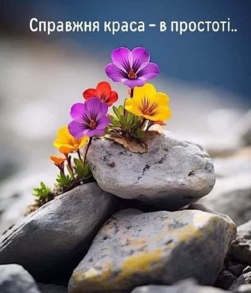 Мудрі слова