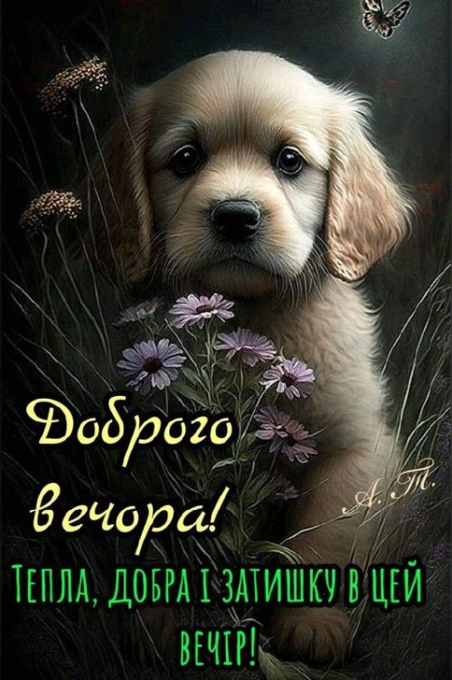 Гарного вечора