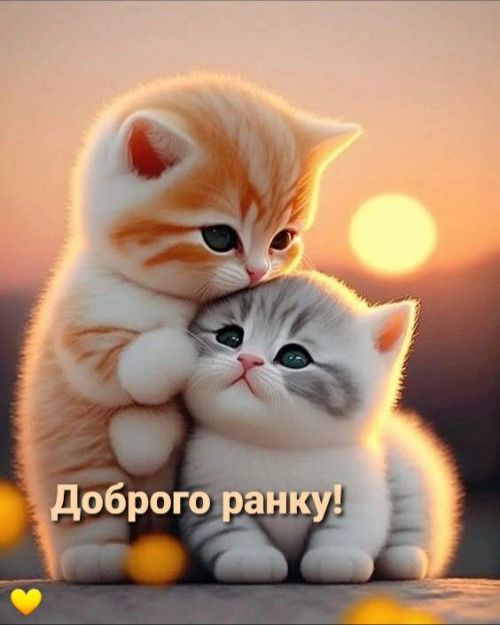 Доброго ранку