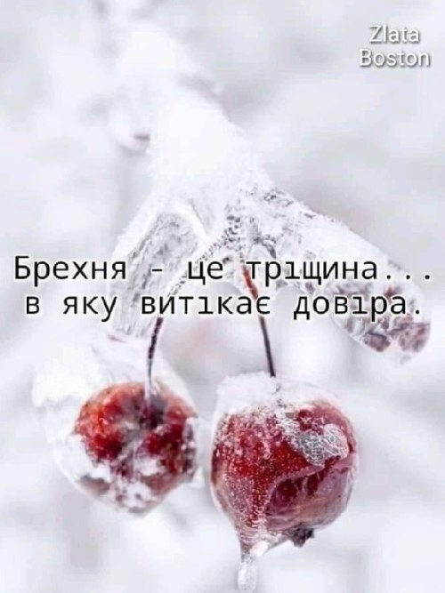 Мудрі слова