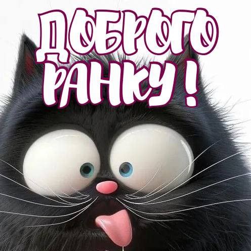 Доброго ранку