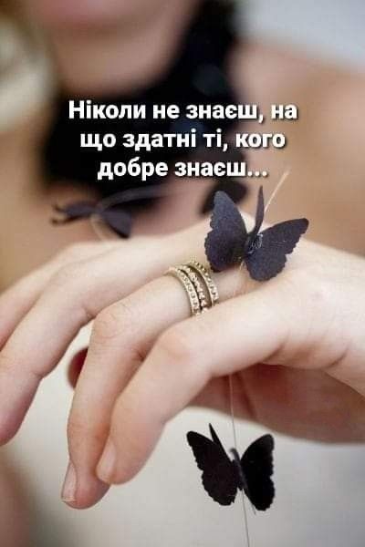 Мудрі слова