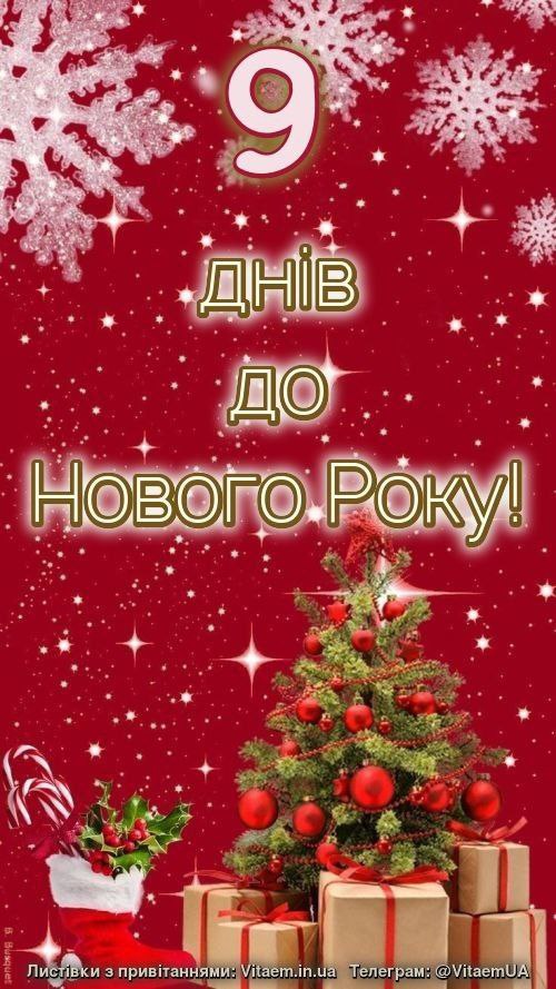 дні до Нового року ❄️ 2711