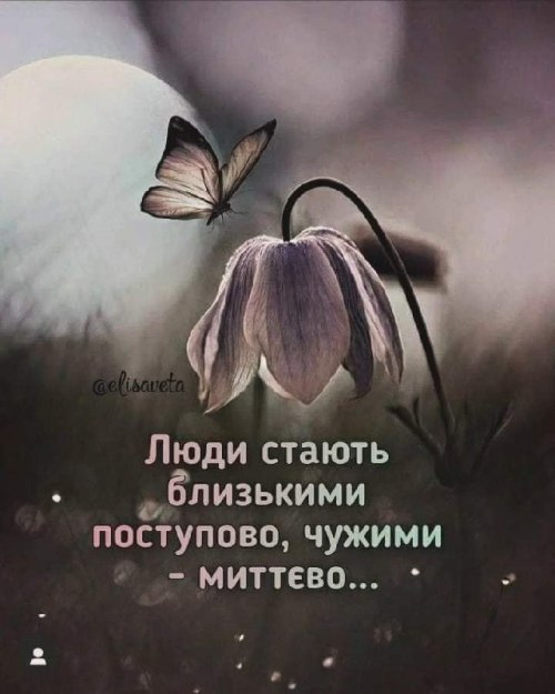 Мудрі слова