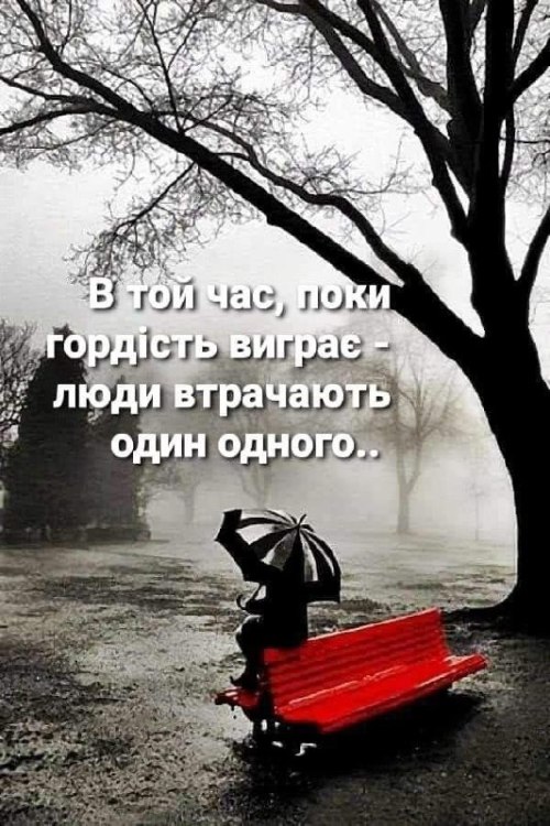 Мудрі слова