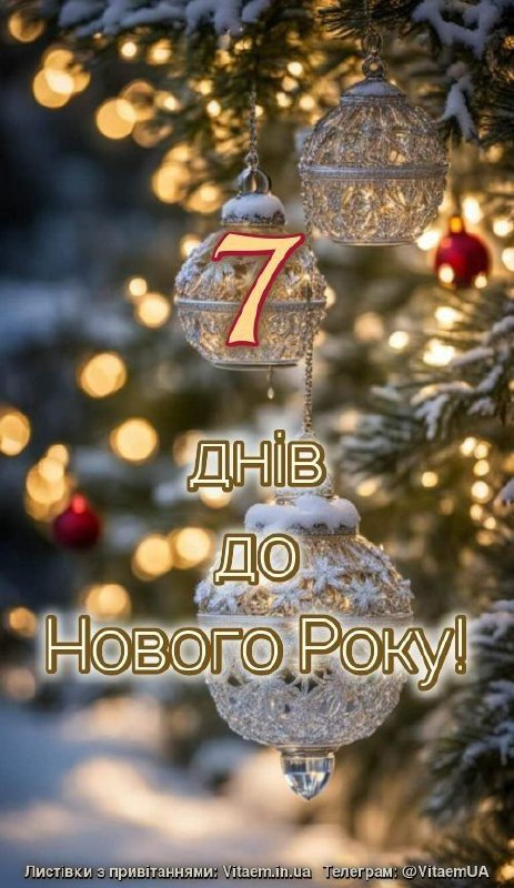 дні до Нового року ❄️ 2726