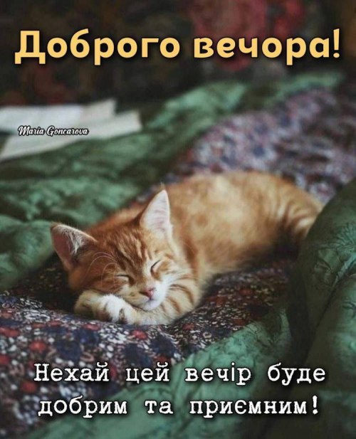 Гарного вечора