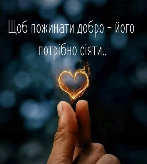 Мудрі слова