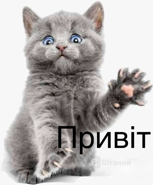 2816