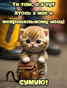 любов