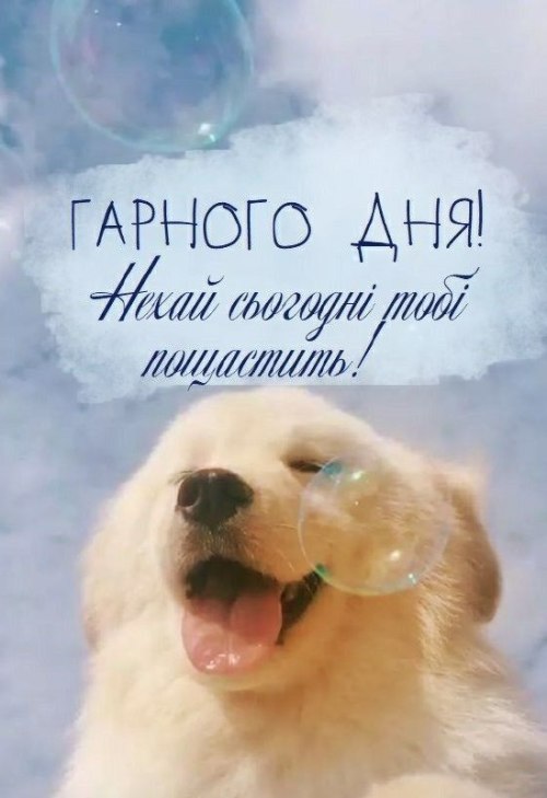 Гарного дня