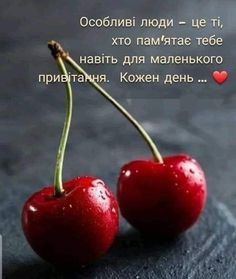 Мудрі слова