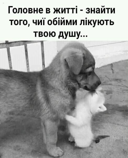 Мудрі слова