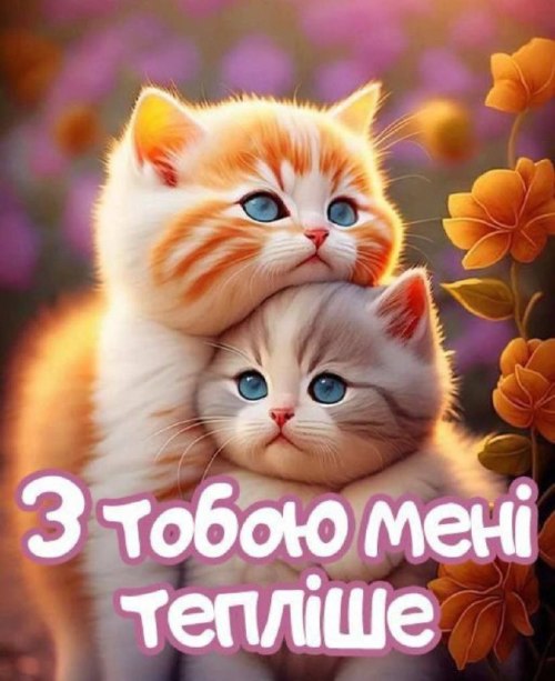 любов
