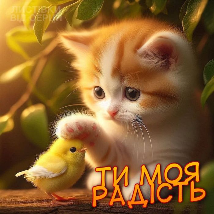 любов