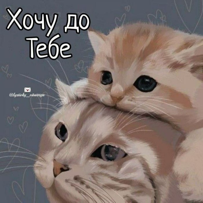 любов