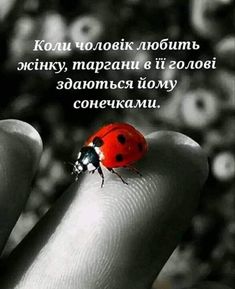 Мудрі слова